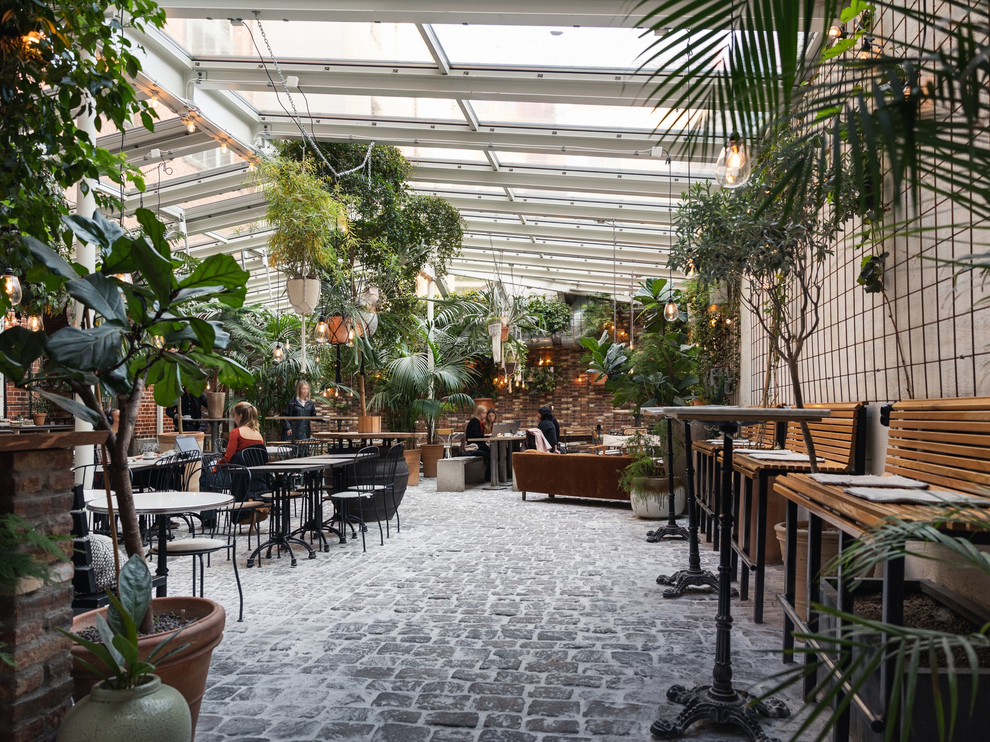 Café med glastak och växter som hänger från taket.