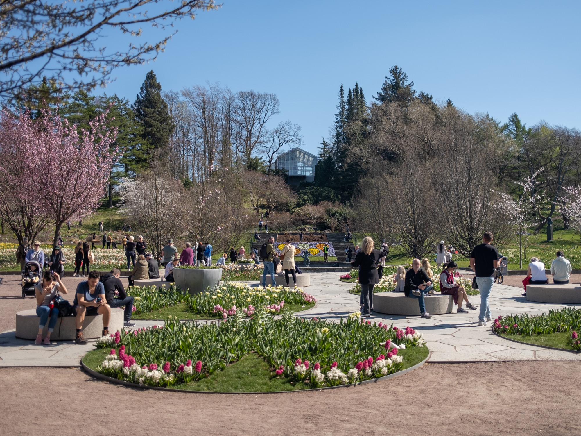 Vårplanteringar i Göteborgs Botaniska trädgård.