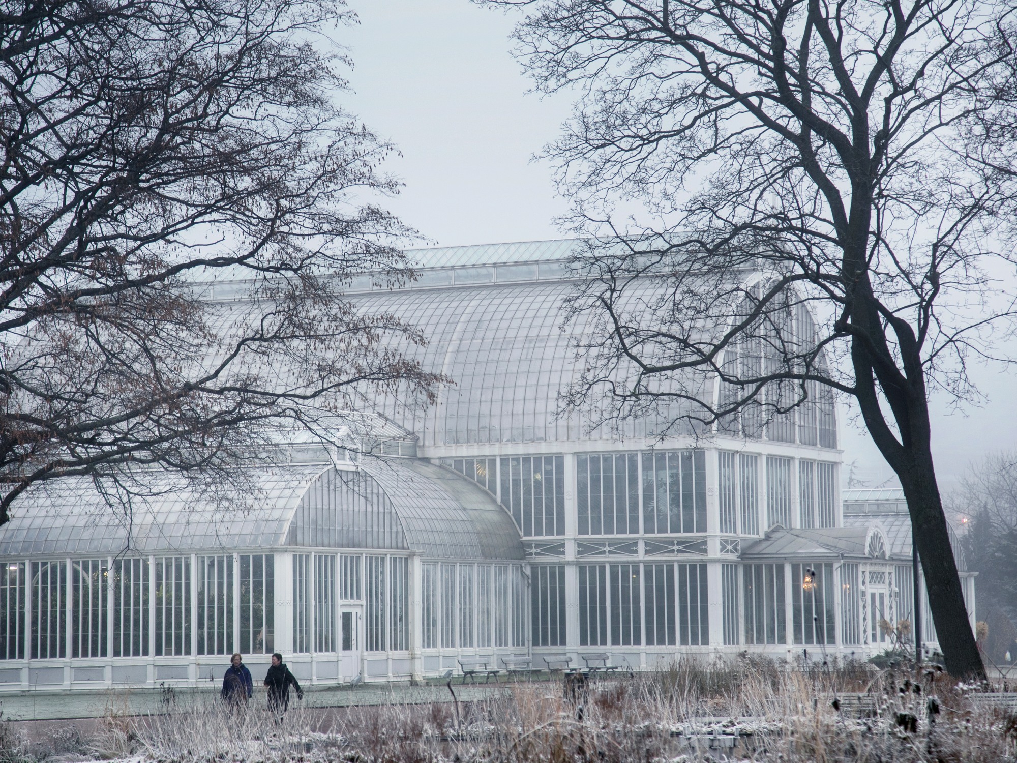 Växthuset Palmhuset i Trädgårdsföreningen i snö.
