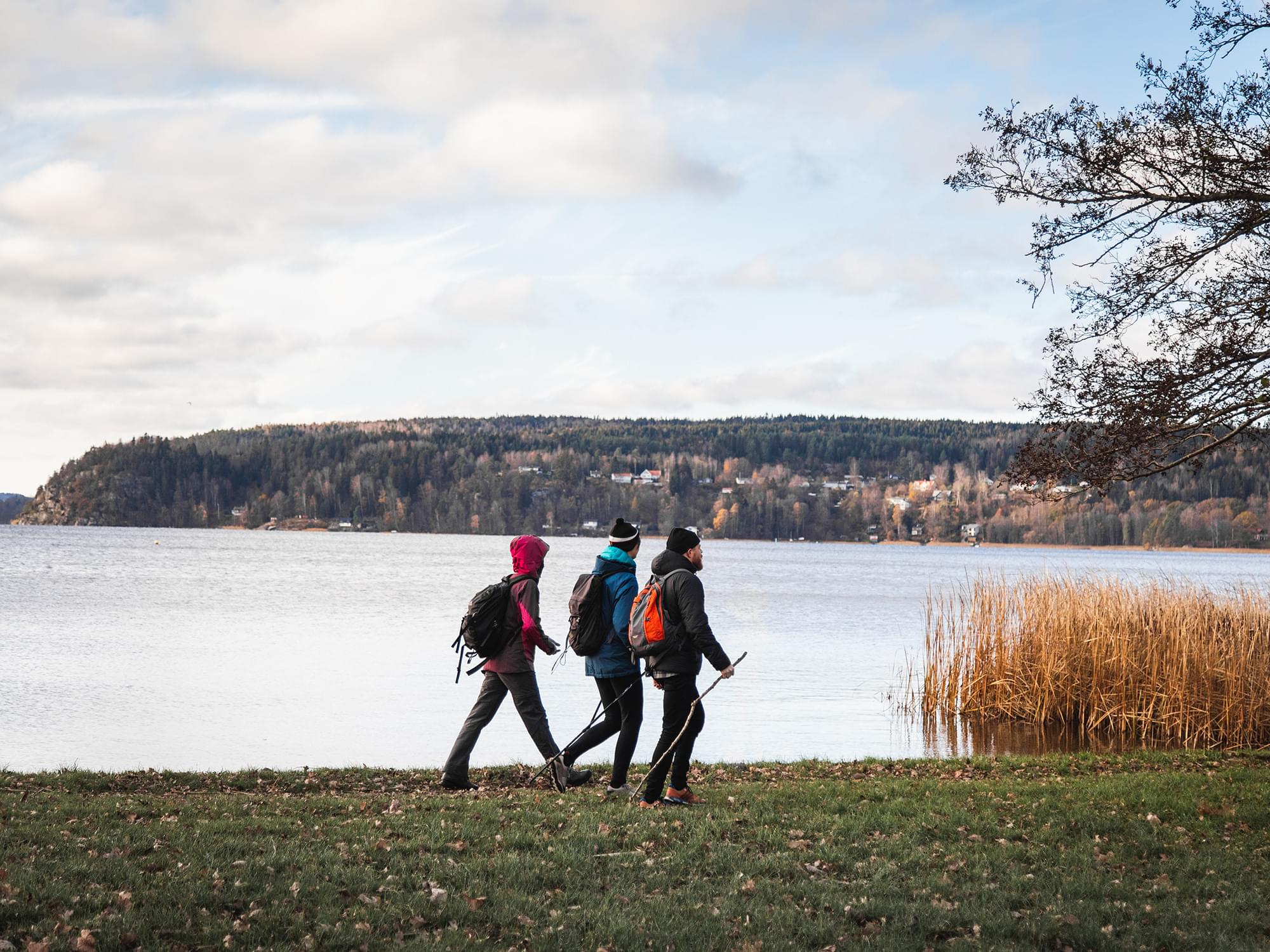 Three hikers by a lake