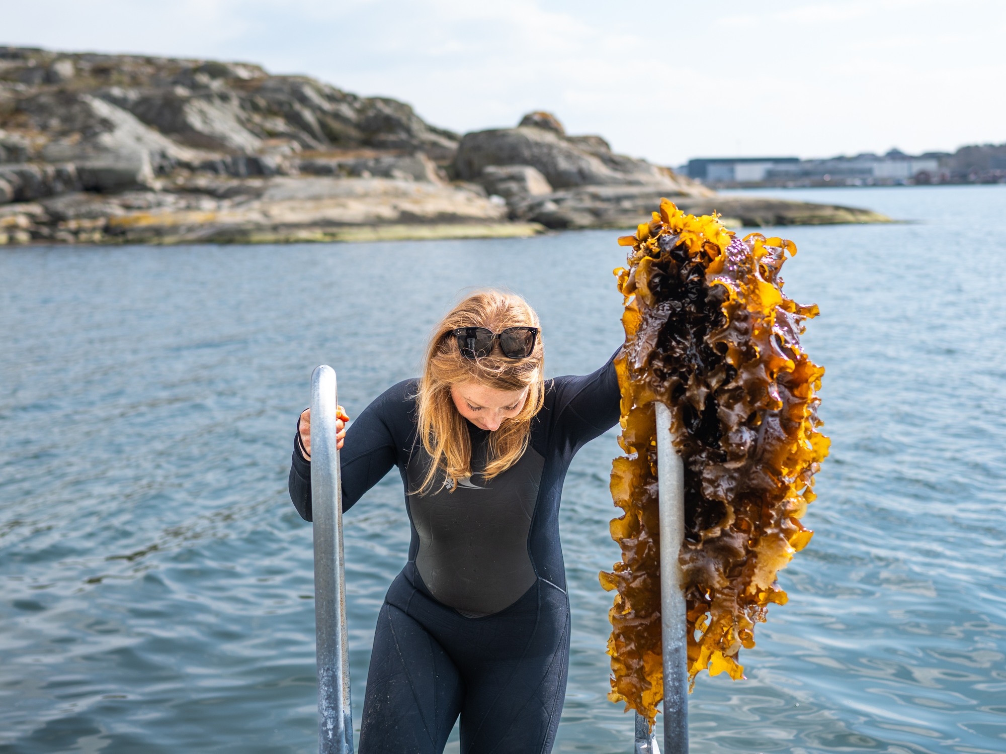 Kvinna plockar tång i havet i Göteborgs skärgård.