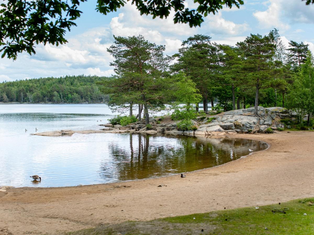 The lake Surtesjön.