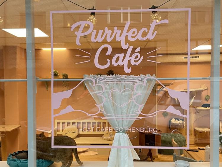 Fönster med texten Purrfect Café
