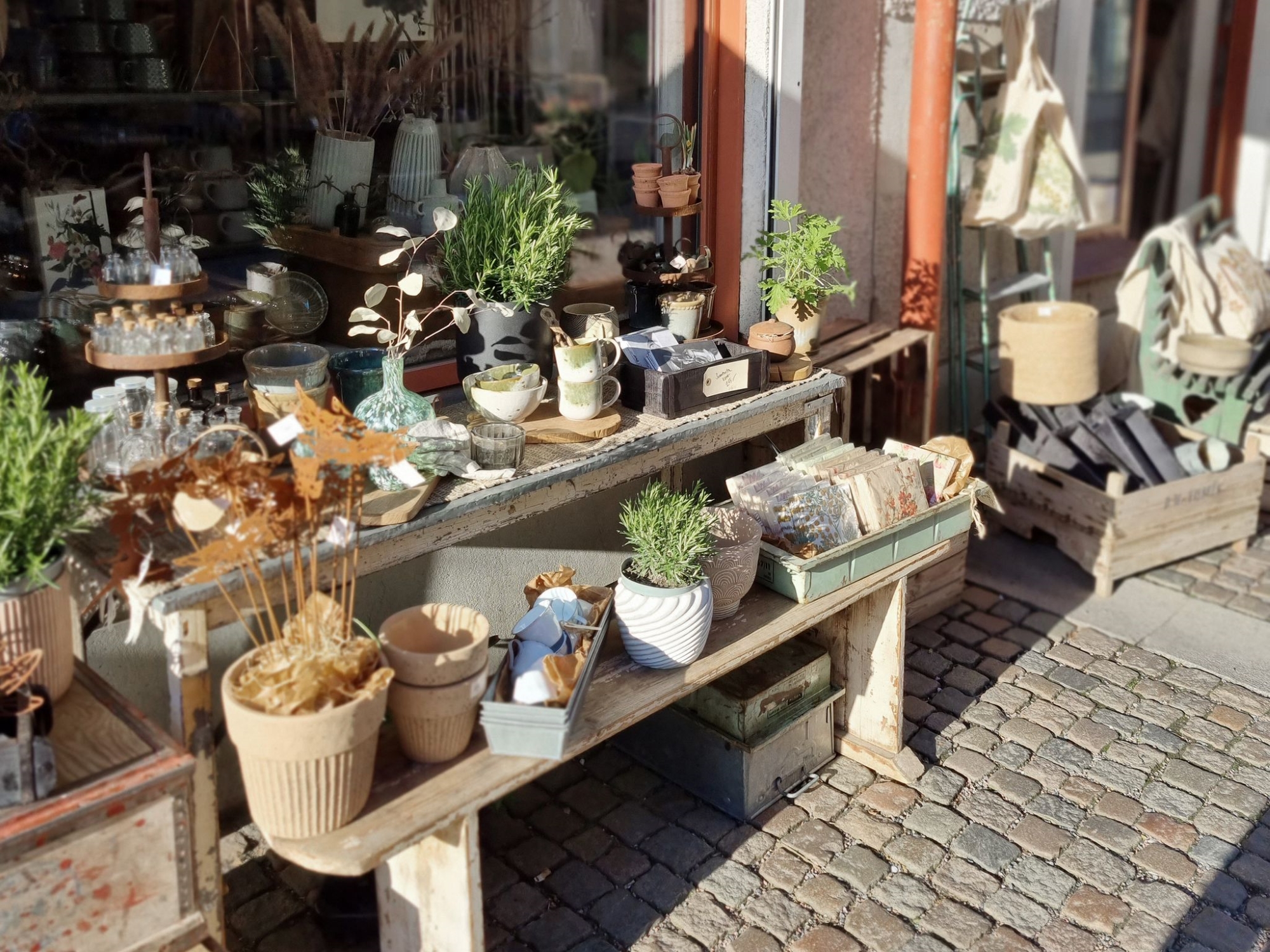 A store outside with different vases and plants, as well as small pieces of decoration such as cups, small glass jars and napkins.