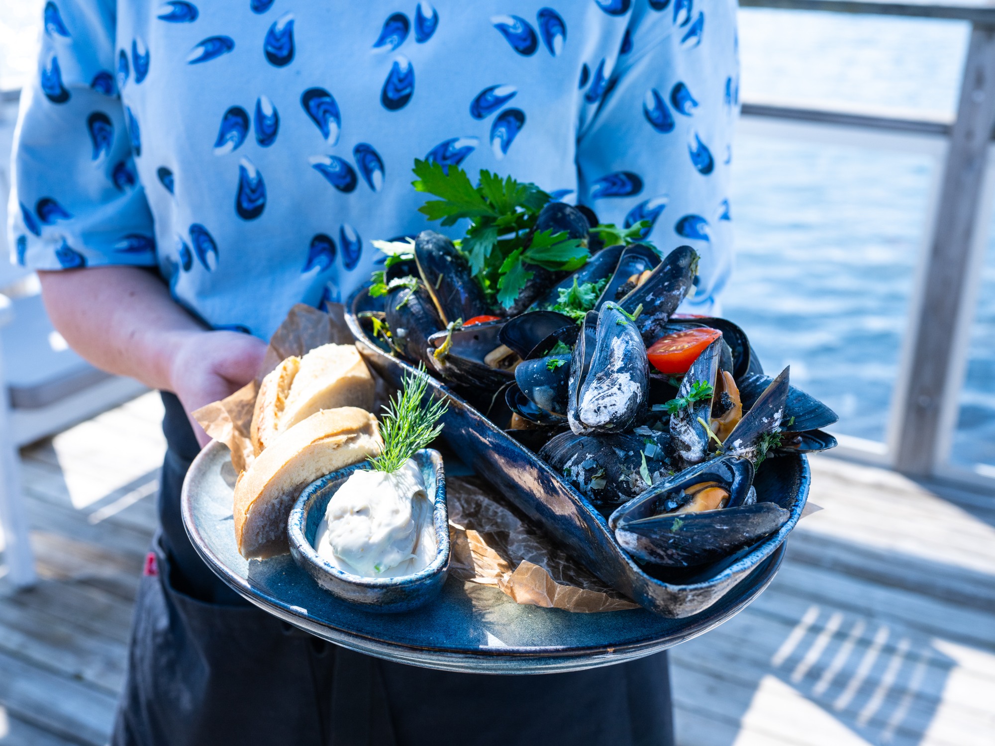 Mussels in Gothenburg archipelago.