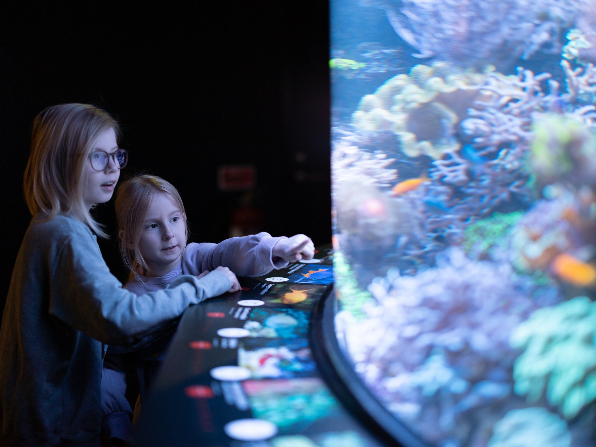 Two kids looking at fish at Universeum.